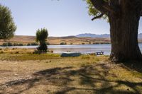 a boat sits in the grass near a tree on a lake shore with mountains in the distance