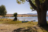 a boat sits in the grass near a tree on a lake shore with mountains in the distance