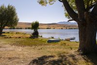 a boat sits in the grass near a tree on a lake shore with mountains in the distance