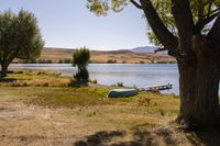 a boat sits in the grass near a tree on a lake shore with mountains in the distance