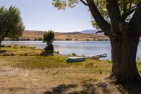 a boat sits in the grass near a tree on a lake shore with mountains in the distance