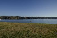 a boat floating on the water while in the grass near shore fenced area on the other side