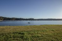 a boat floating on the water while in the grass near shore fenced area on the other side