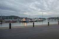 several boats are anchored at the marina with traffic cones along side of the river water