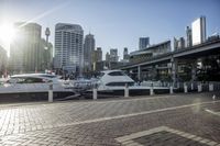many boats are docked in the port in the city on a sunny day with skyscrapers