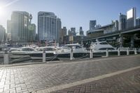 many boats are docked in the port in the city on a sunny day with skyscrapers