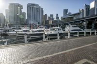 many boats are docked in the port in the city on a sunny day with skyscrapers