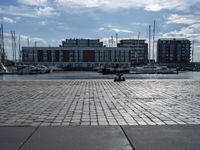 the dog is looking over the water near boats at a marina in stockholm, sweden