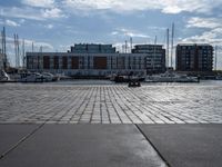 the dog is looking over the water near boats at a marina in stockholm, sweden