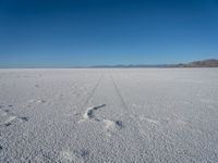 a big white desert with tracks in the sand and mountains in the background, with two footprints imprint on the ground
