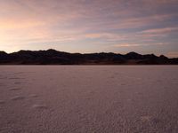 snow and mountains covered in brown grass next to the sea at sunset or dawns