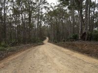 a dirt road surrounded by many trees on a hill side, a vehicle goes downhill