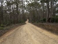 a dirt road surrounded by many trees on a hill side, a vehicle goes downhill