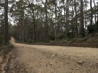 a dirt road surrounded by many trees on a hill side, a vehicle goes downhill