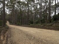 a dirt road surrounded by many trees on a hill side, a vehicle goes downhill