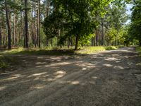 Brandenburg Berlin Landscape