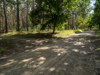 Brandenburg Berlin Landscape