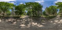 an image of some dirt road trees and sky and clouds for a fisheye effect