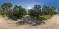 a street view showing a dirt road and many trees in the background with a blue sky and some light in the distance