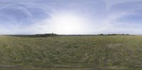 a field with an animal on a sunny day with some clouds in the distance, and the sun behind the hill