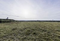 Rolling Hills in Brandenburg: Rural Scenery