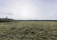 Rolling Hills in Brandenburg: Rural Scenery