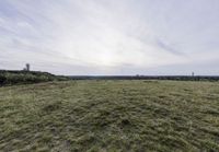 Rolling Hills in Brandenburg: Rural Scenery