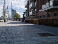 the paved street with buildings in the distance is lined with trees and bushes and two tall brick walles