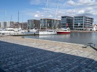 some white yachts docked in a marina with boats in the background and buildings on one side