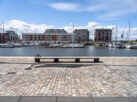 a stone bench on the ground near a body of water with buildings in the background