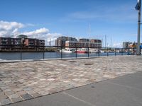 there's a bench in front of a harbor with sail boats docked by the harbor