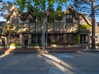 large brick and stone building with a tree in the front yard with sun shining on windows