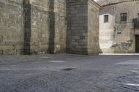 a stone area with a brick building and brick walkway in the background and light grey cobblestones