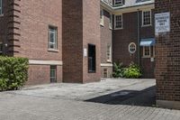 brick building next to green and white door and plant in front of sidewalk with brick path between buildings