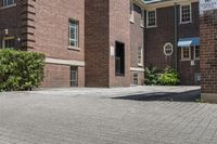 brick building next to green and white door and plant in front of sidewalk with brick path between buildings