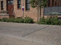 the street is lined with bricks near buildings and trees in front of it for people to walk