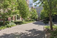 a brick paved city street is lined with trees and bushes, and buildings behind it