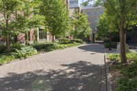 a brick paved city street is lined with trees and bushes, and buildings behind it