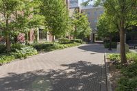 a brick paved city street is lined with trees and bushes, and buildings behind it