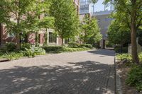 a brick paved city street is lined with trees and bushes, and buildings behind it