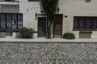 a brick street has buildings and a parking meter on it next to two trees in front of a door