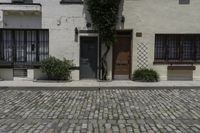 a brick street has buildings and a parking meter on it next to two trees in front of a door