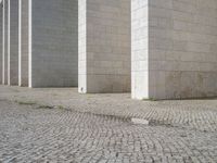 this is a photo of a brick street in front of a building that has columns and other things on the ground in front of it