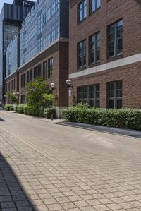 a empty sidewalk on the side of a brick street with buildings and trees behind it