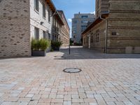 an empty street has bricks on the ground near buildings and a circle in the middle of the sidewalk