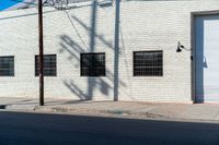 the shadow of a tree on the side of a building by a road with a car parked on it