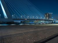 the night view of a bridge and some lights in the background with a large city skyline