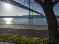 a tree and the road beside the water under a bridge with a boat below it