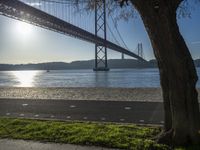 a tree and the road beside the water under a bridge with a boat below it