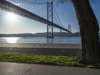 a tree and the road beside the water under a bridge with a boat below it